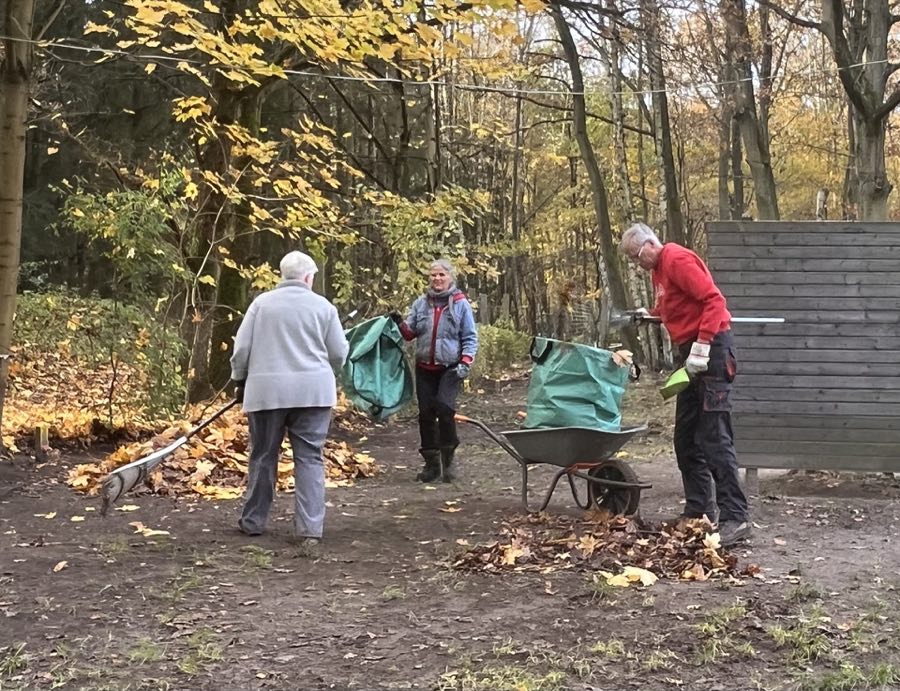 Arbeitseinsatz auf dem Vereinsgelände des Schönfließer HSC 29