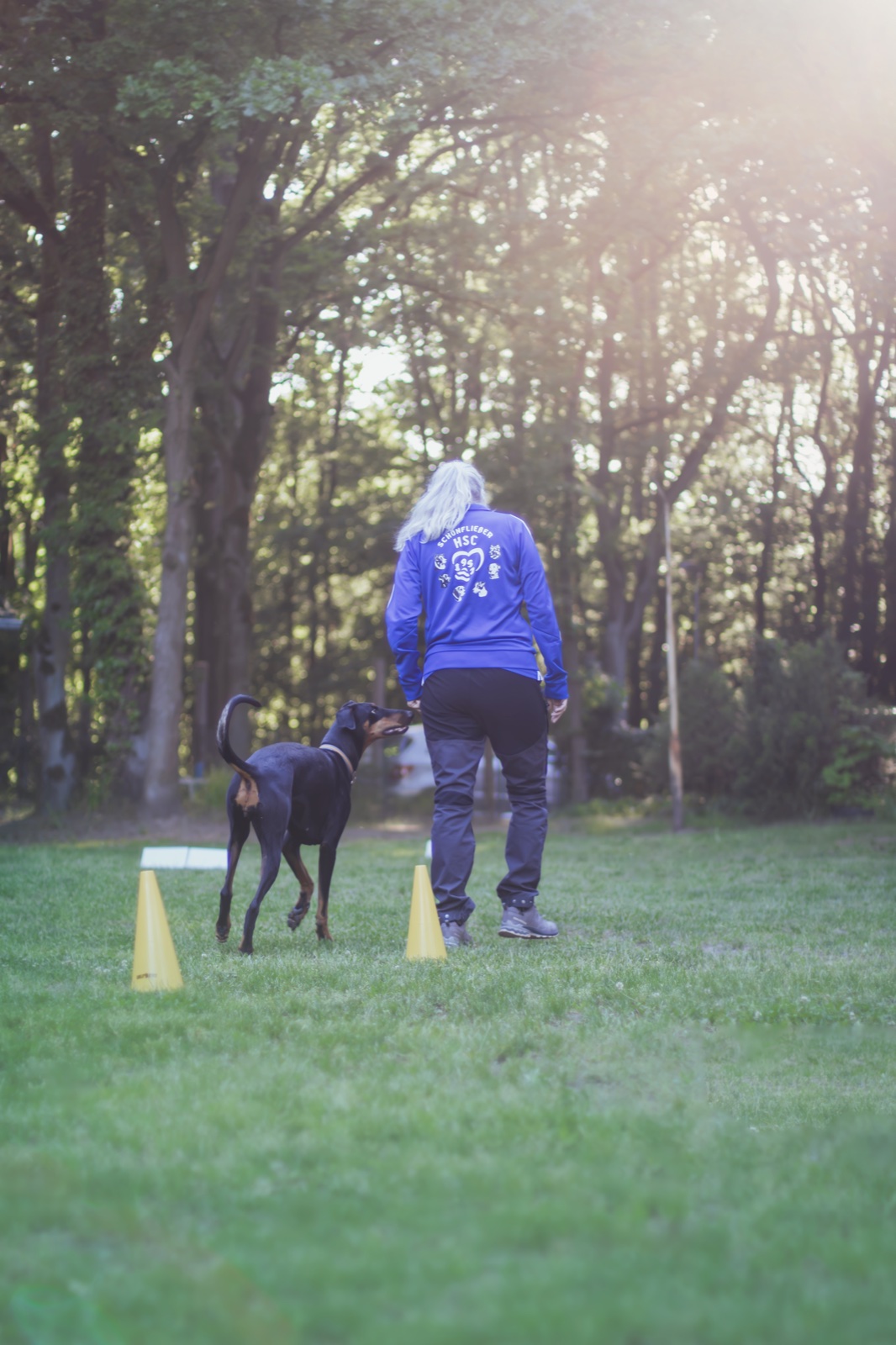 Rally Obedience Training 1