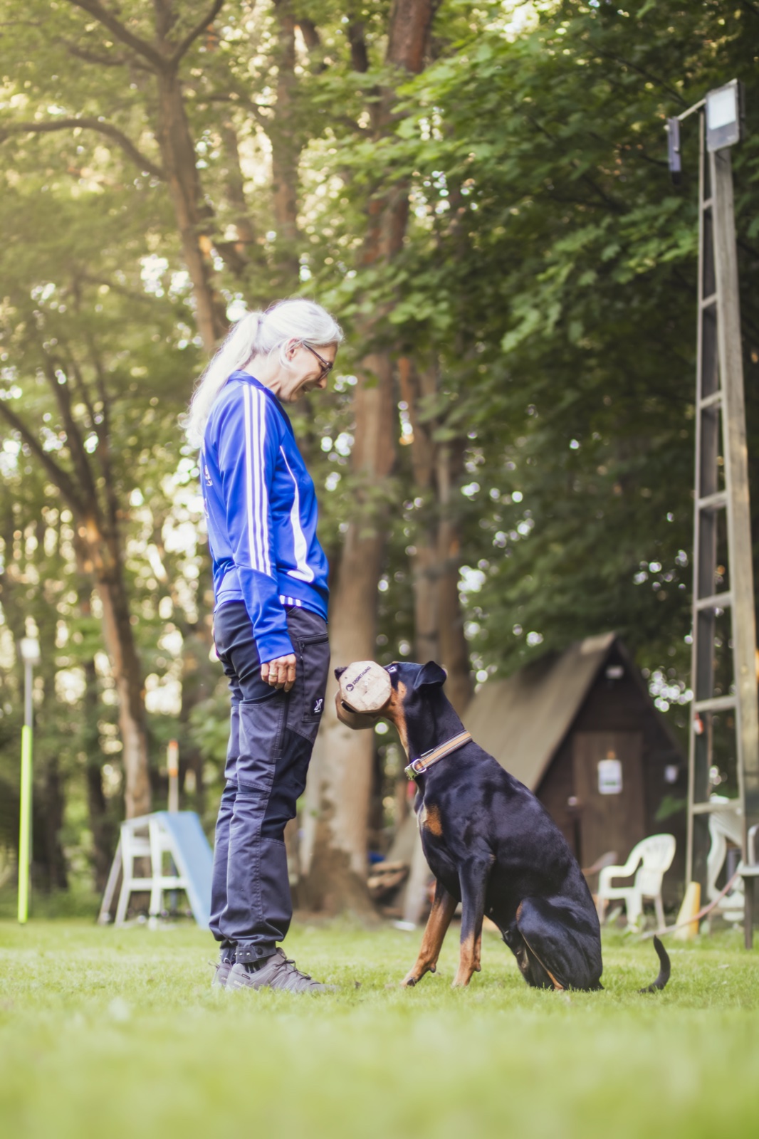 Unterordnung Training 6
