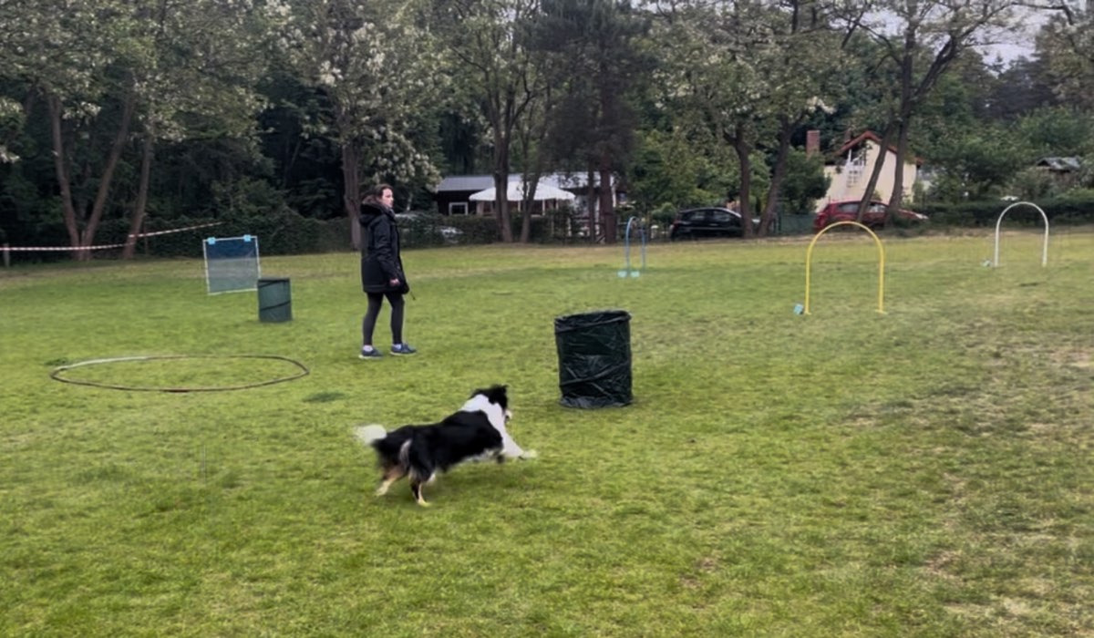 Hoopers Training im Schoenfliesser HSC
