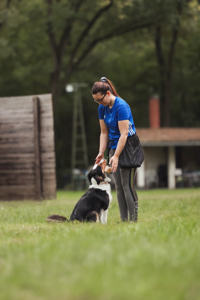 Unterordnung Training im Schoenfliesser HSC