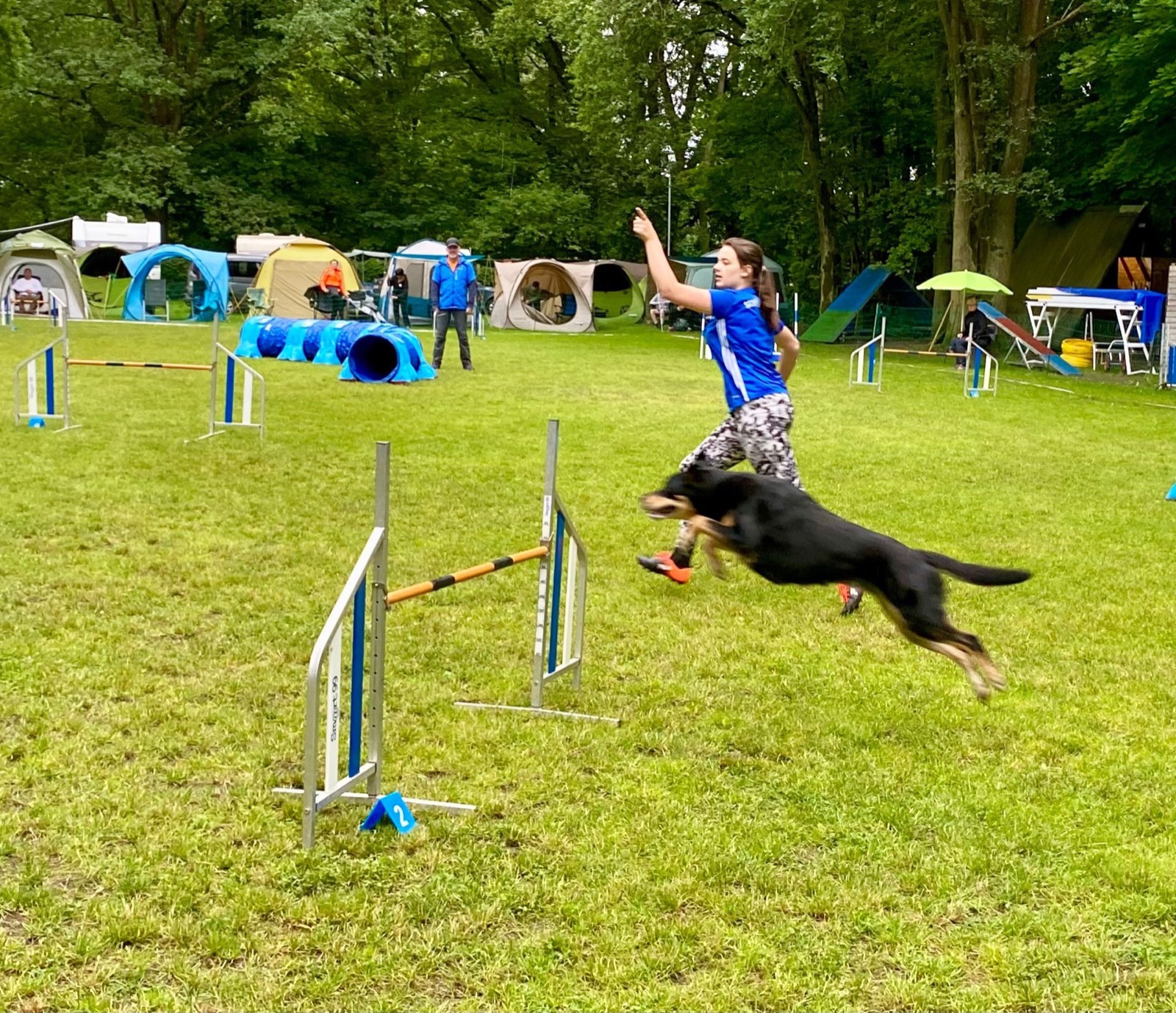 Hundesport im Verein