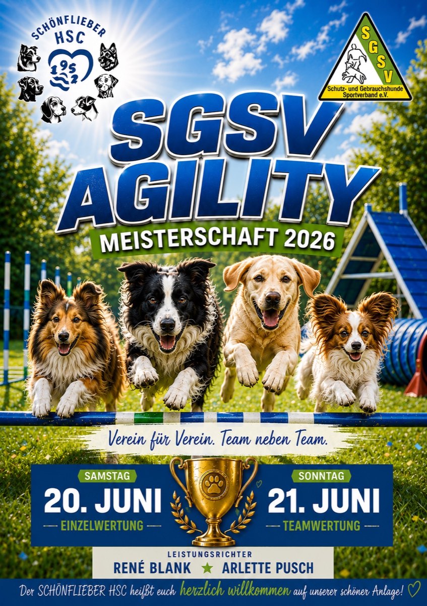 SGSV Meisterschaft